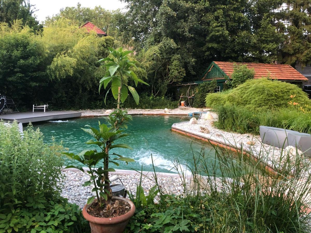 Haus Mit Sauna Und Privatem Badeteich In Anif Bei Salzburg Dış mekan fotoğraf